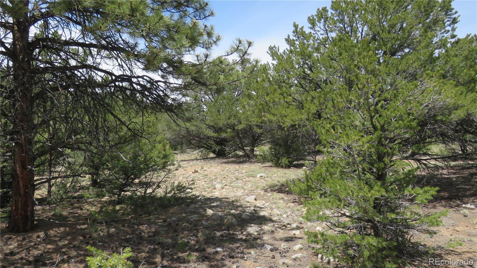 29258 Sage Lane Buena Vista CO 81211