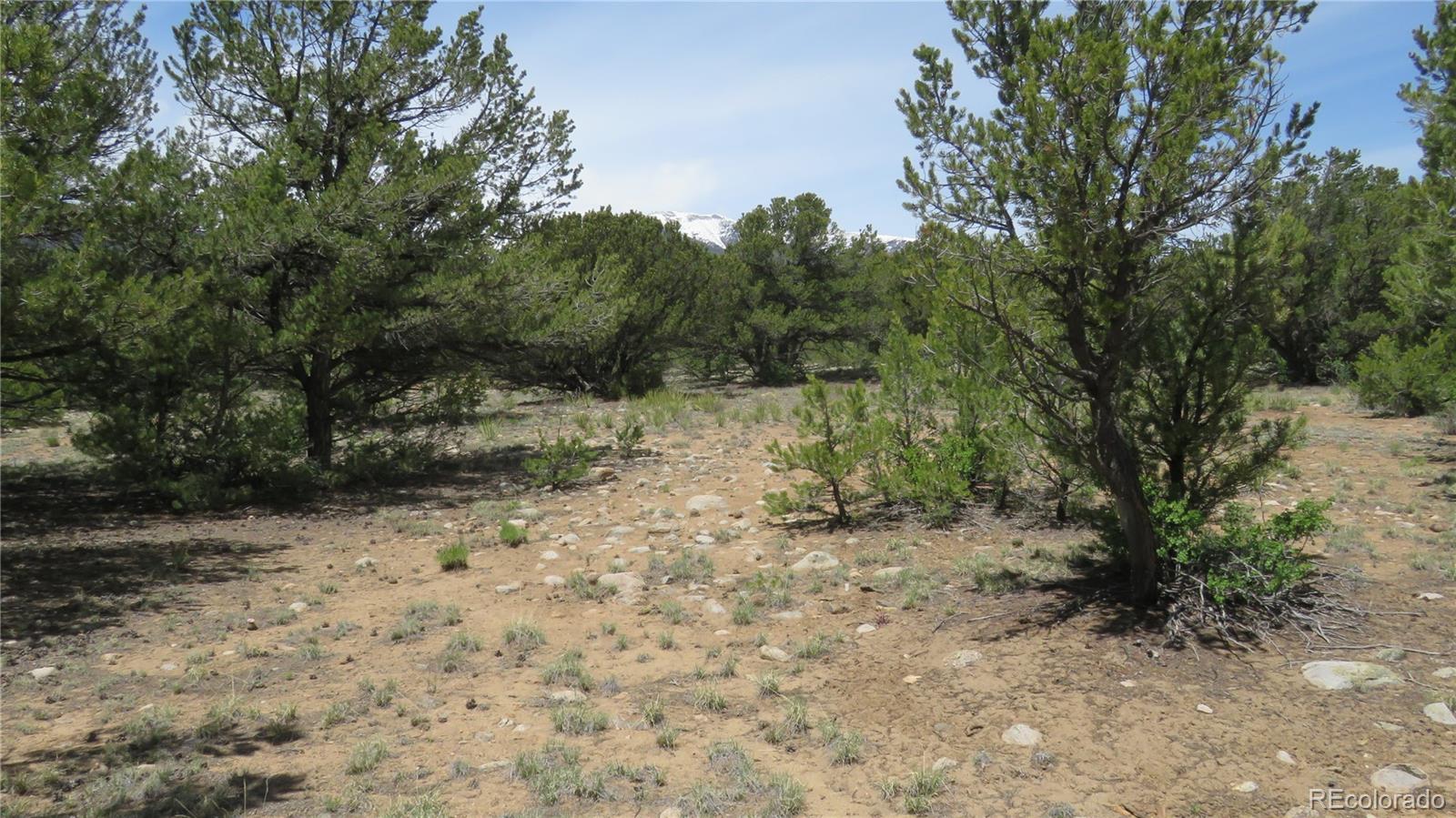 29258 Sage Lane Buena Vista CO 81211