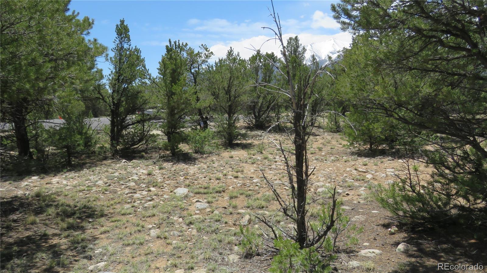 29258 Sage Lane Buena Vista CO 81211