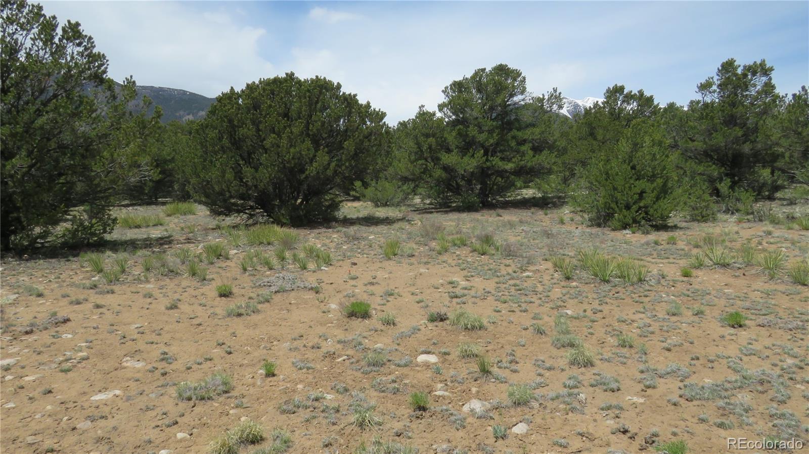 29258 Sage Lane Buena Vista CO 81211