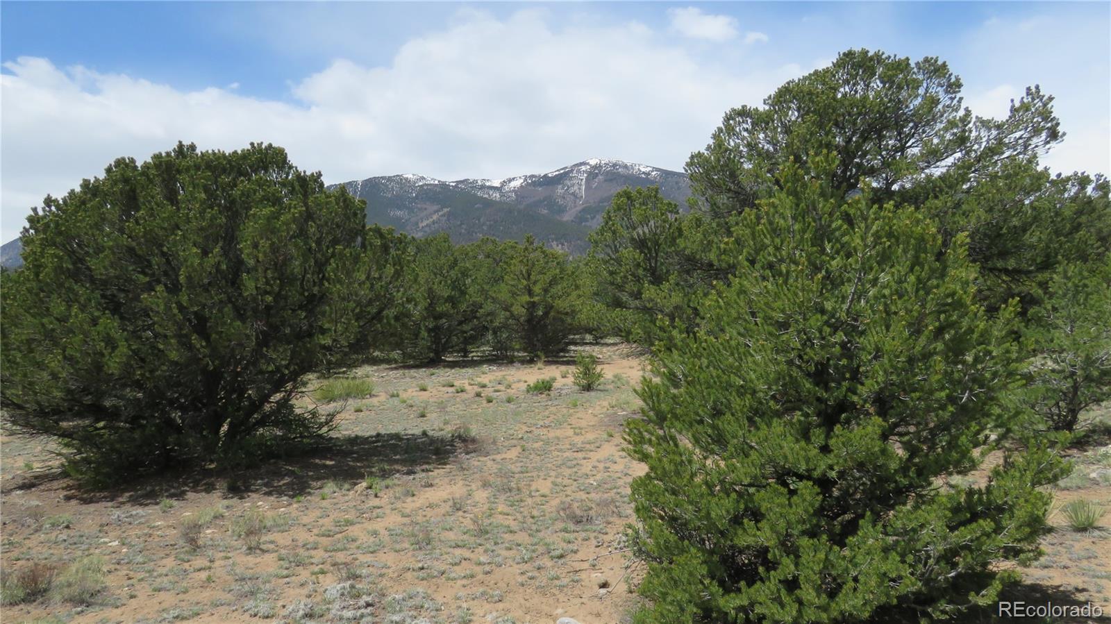 29258 Sage Lane Buena Vista CO 81211