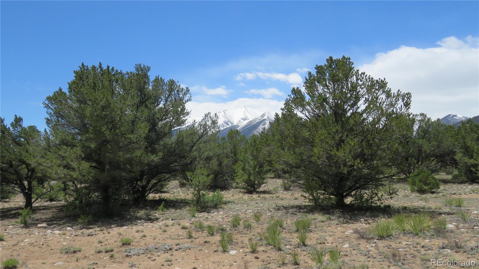 29258 Sage Lane Buena Vista CO 81211