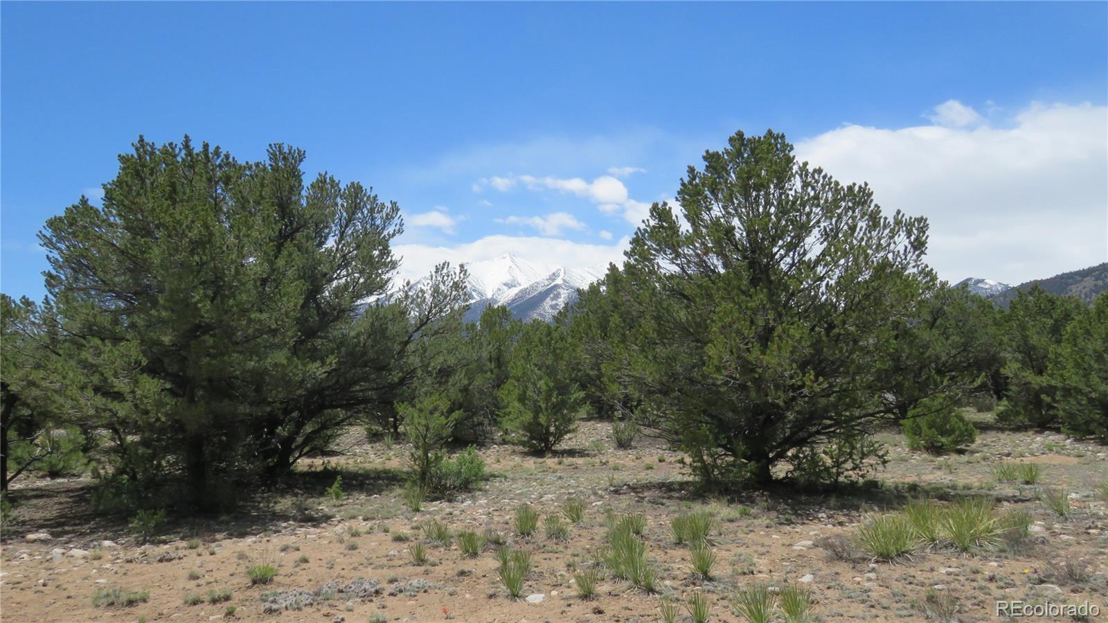 29258 Sage Lane Buena Vista CO 81211
