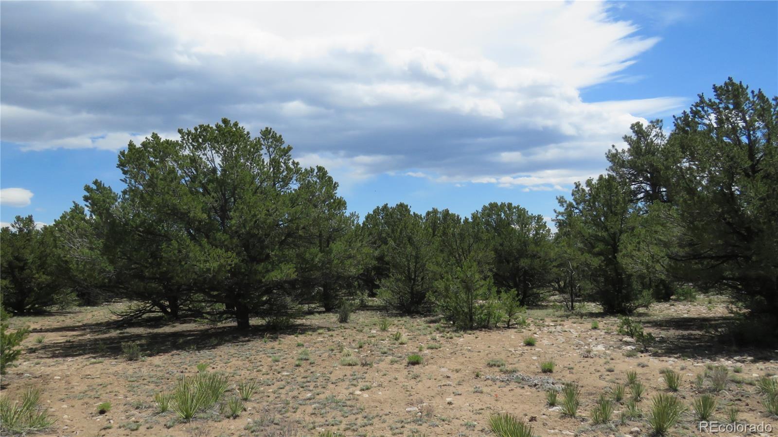 29258 Sage Lane Buena Vista CO 81211