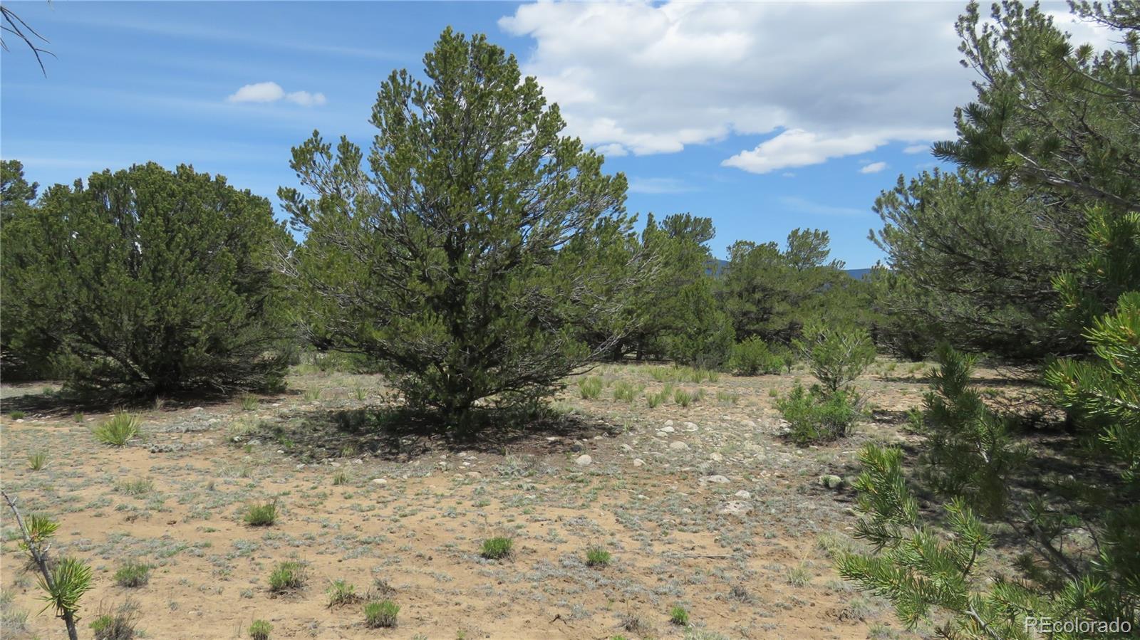 29258 Sage Lane Buena Vista CO 81211