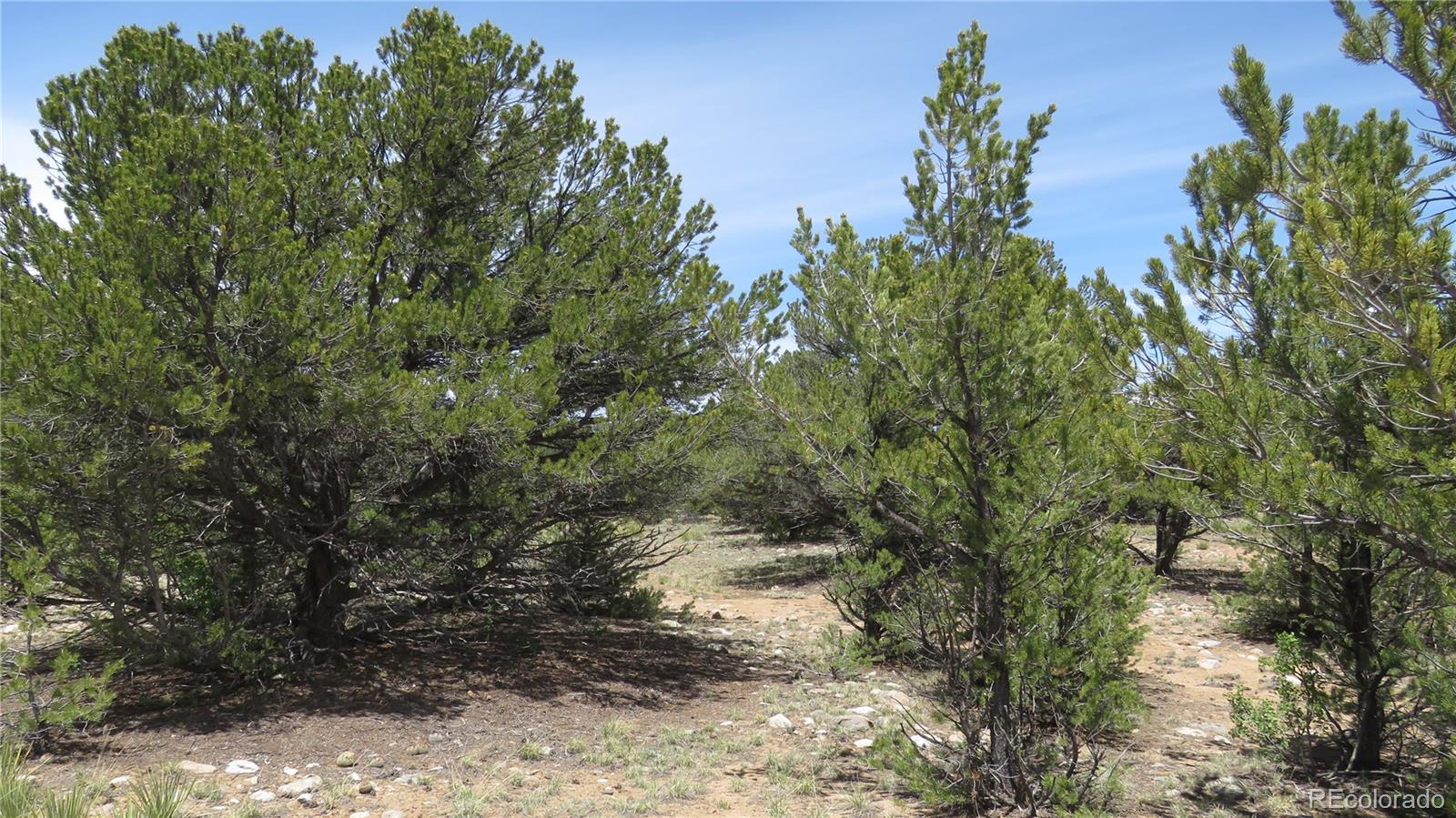 29258 Sage Lane Buena Vista CO 81211