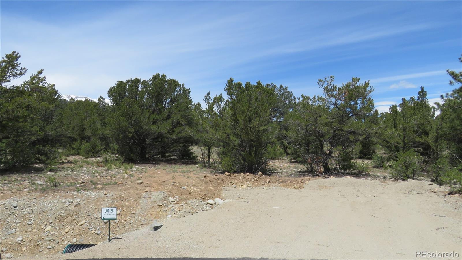 29258 Sage Lane Buena Vista CO 81211