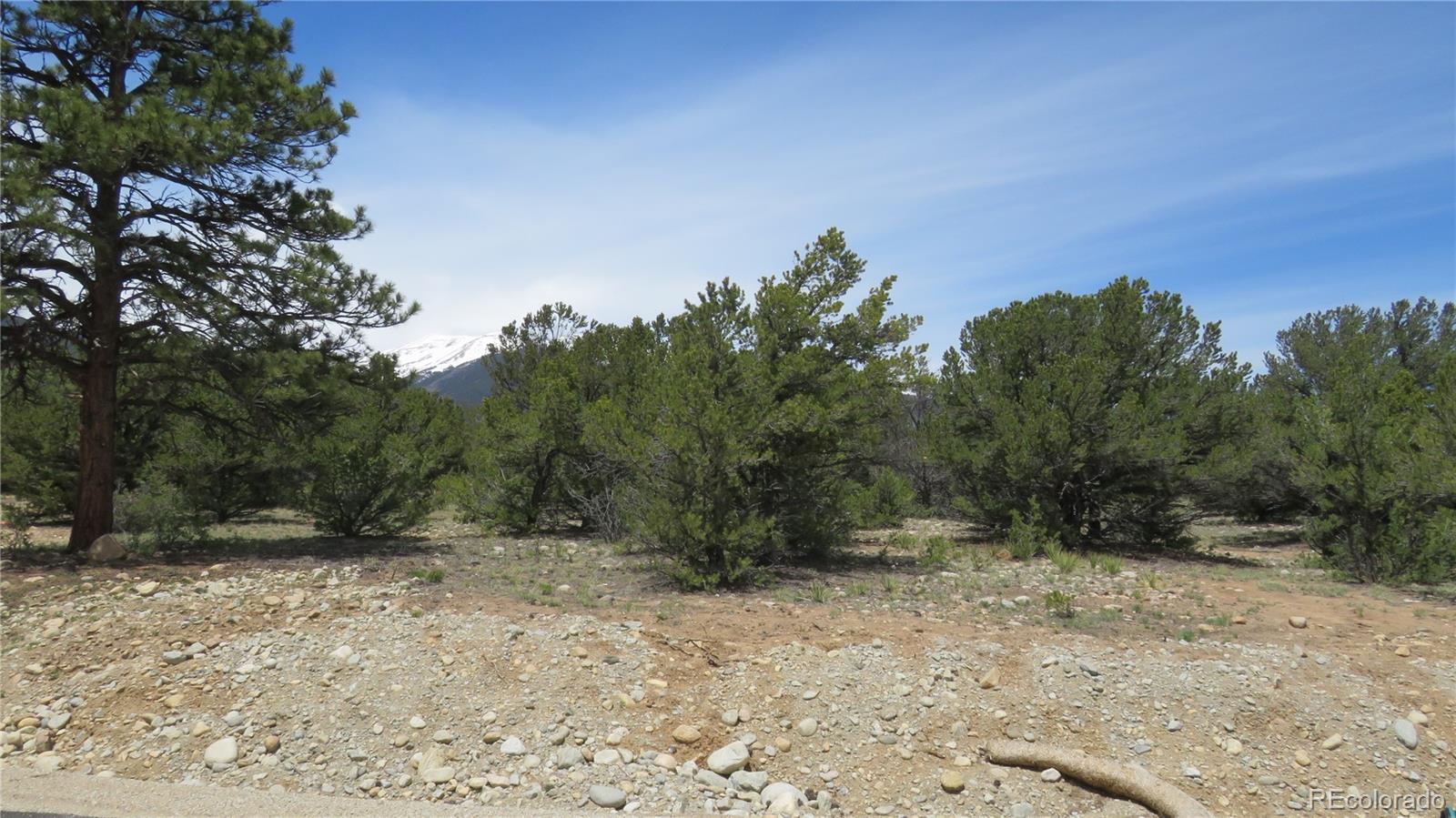 29258 Sage Lane Buena Vista CO 81211