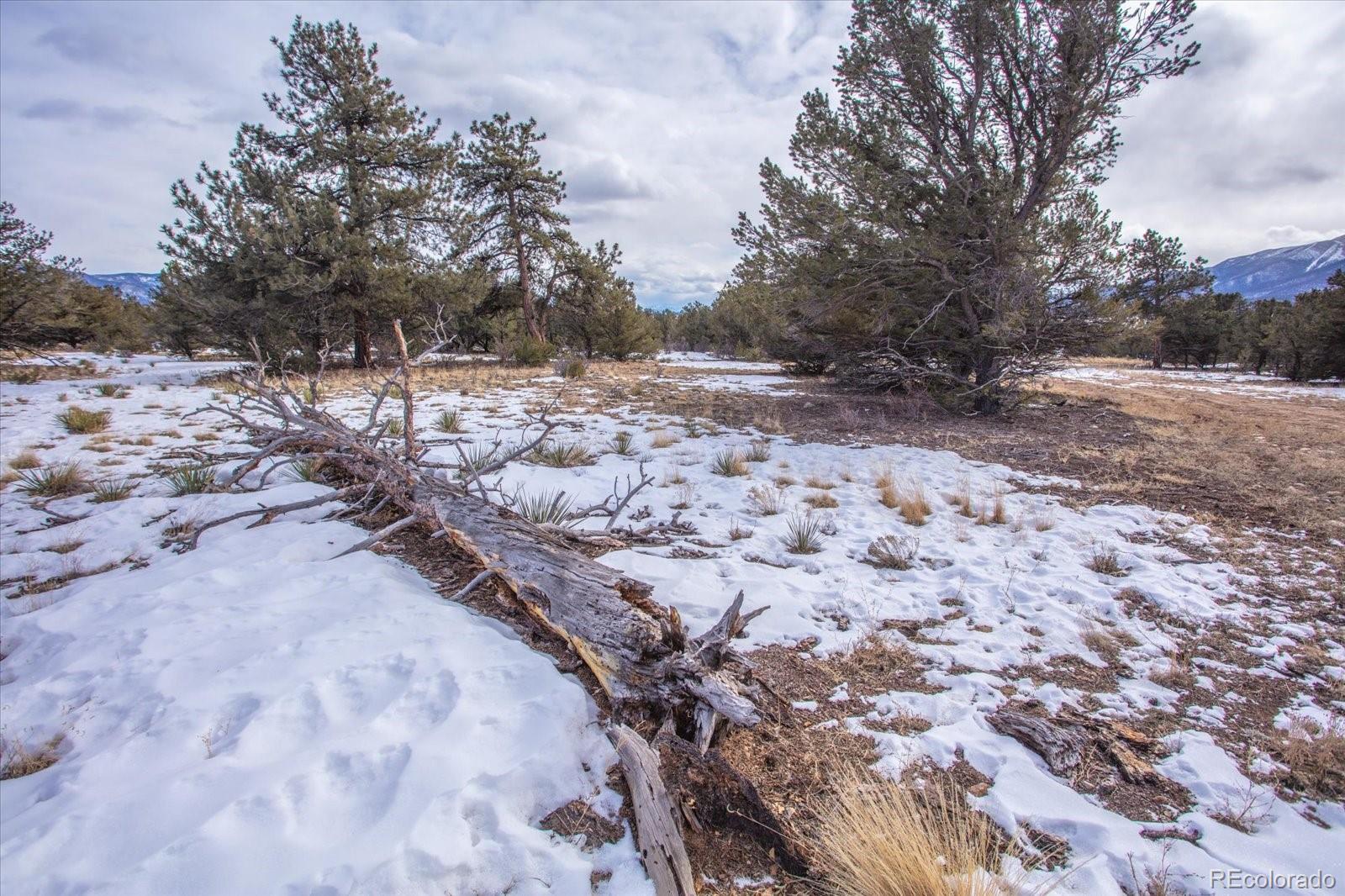 29258 Sage Lane Buena Vista CO 81211