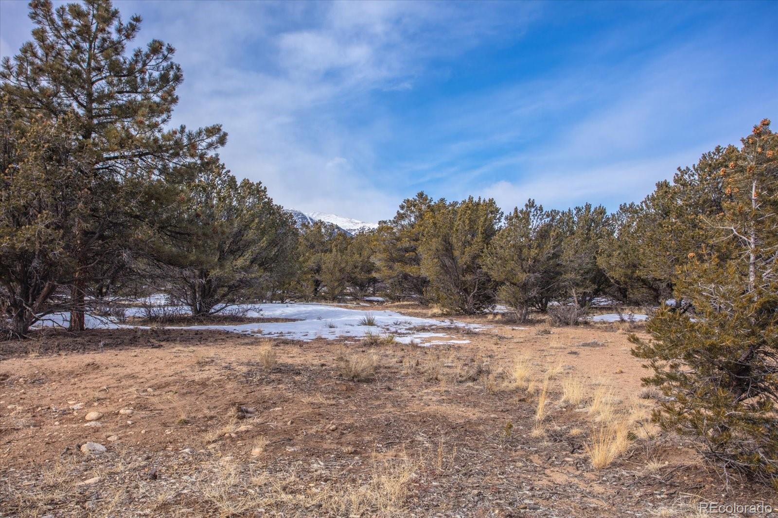 29258 Sage Lane Buena Vista CO 81211