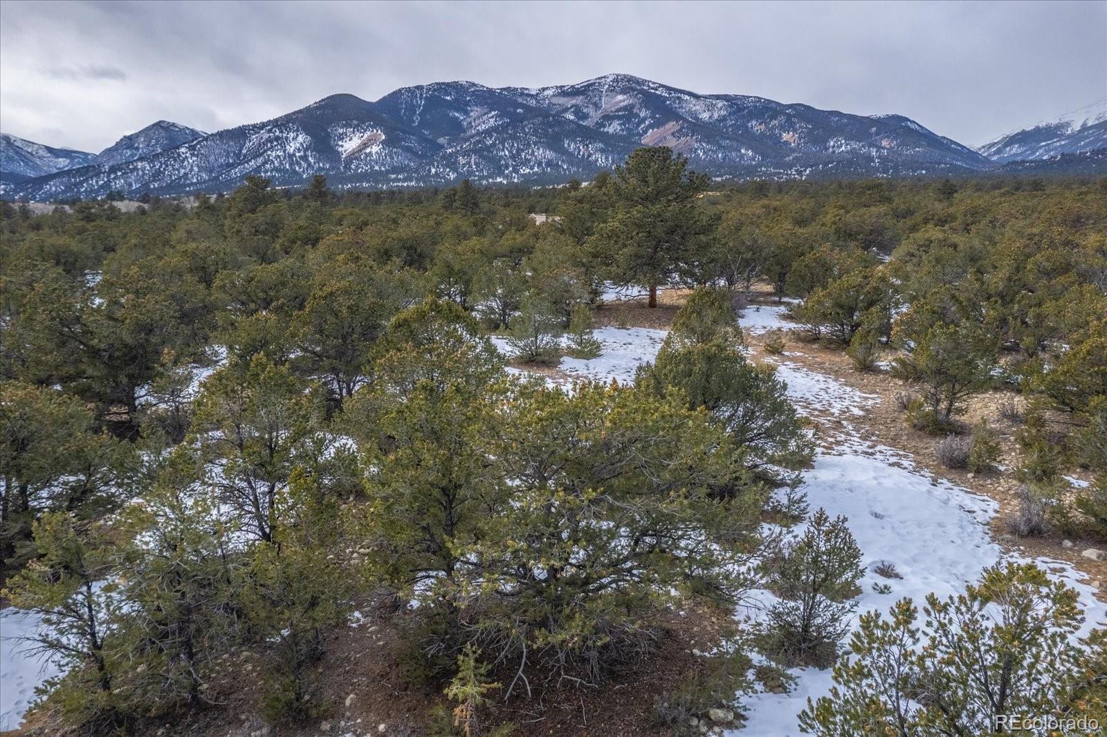 29258 Sage Lane Buena Vista CO 81211