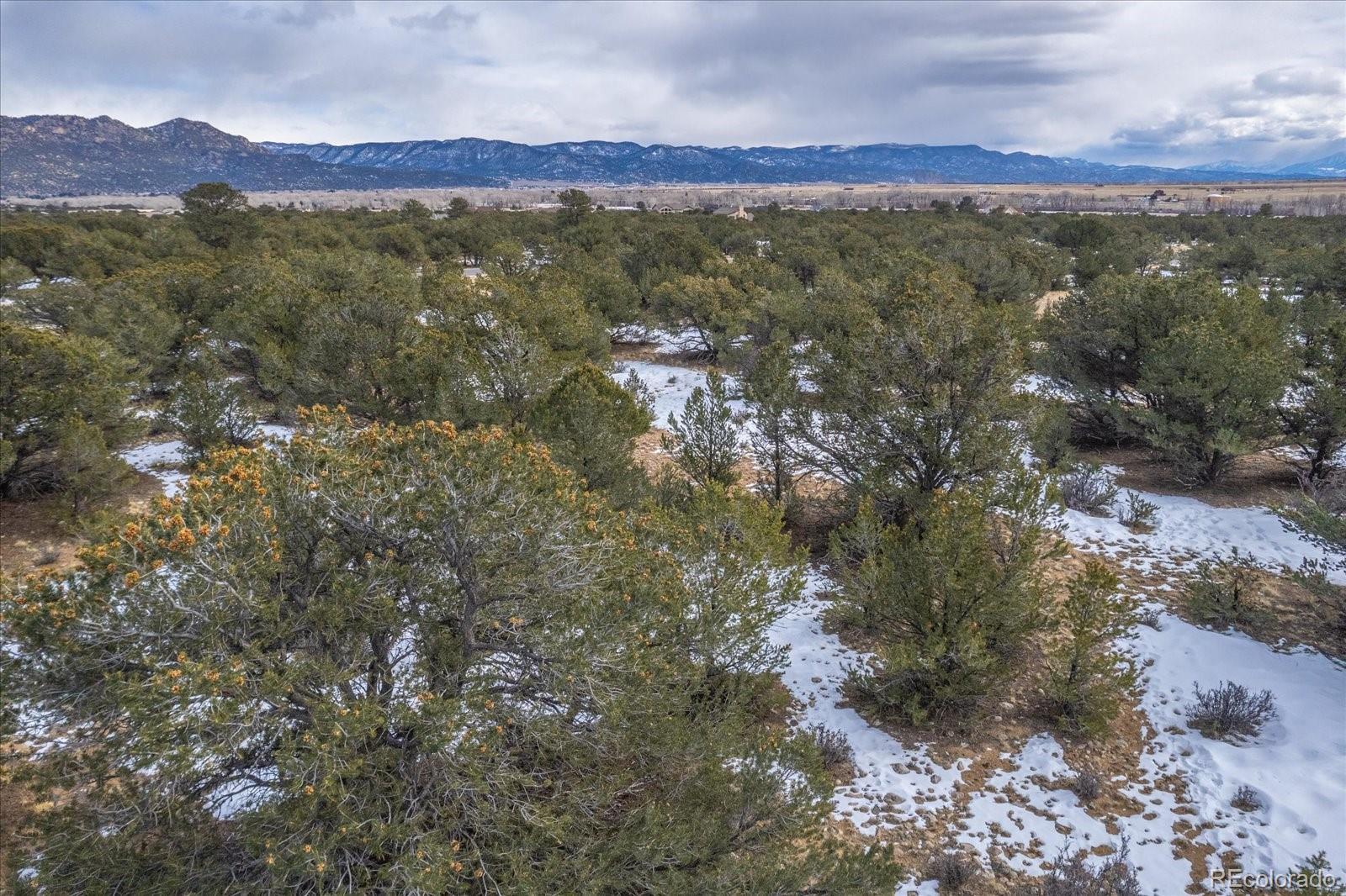 29258 Sage Lane Buena Vista CO 81211