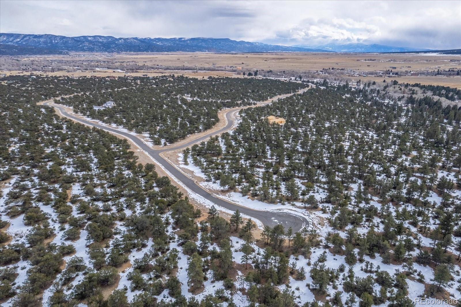 29258 Sage Lane Buena Vista CO 81211