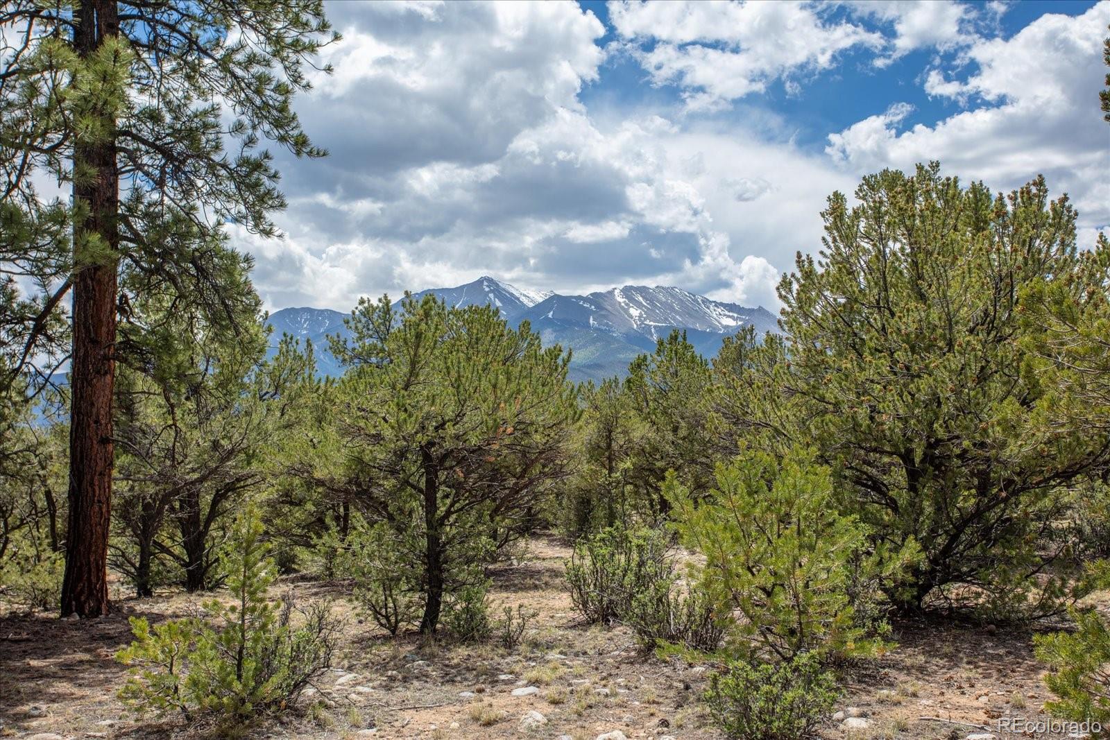29258 Sage Lane Buena Vista CO 81211