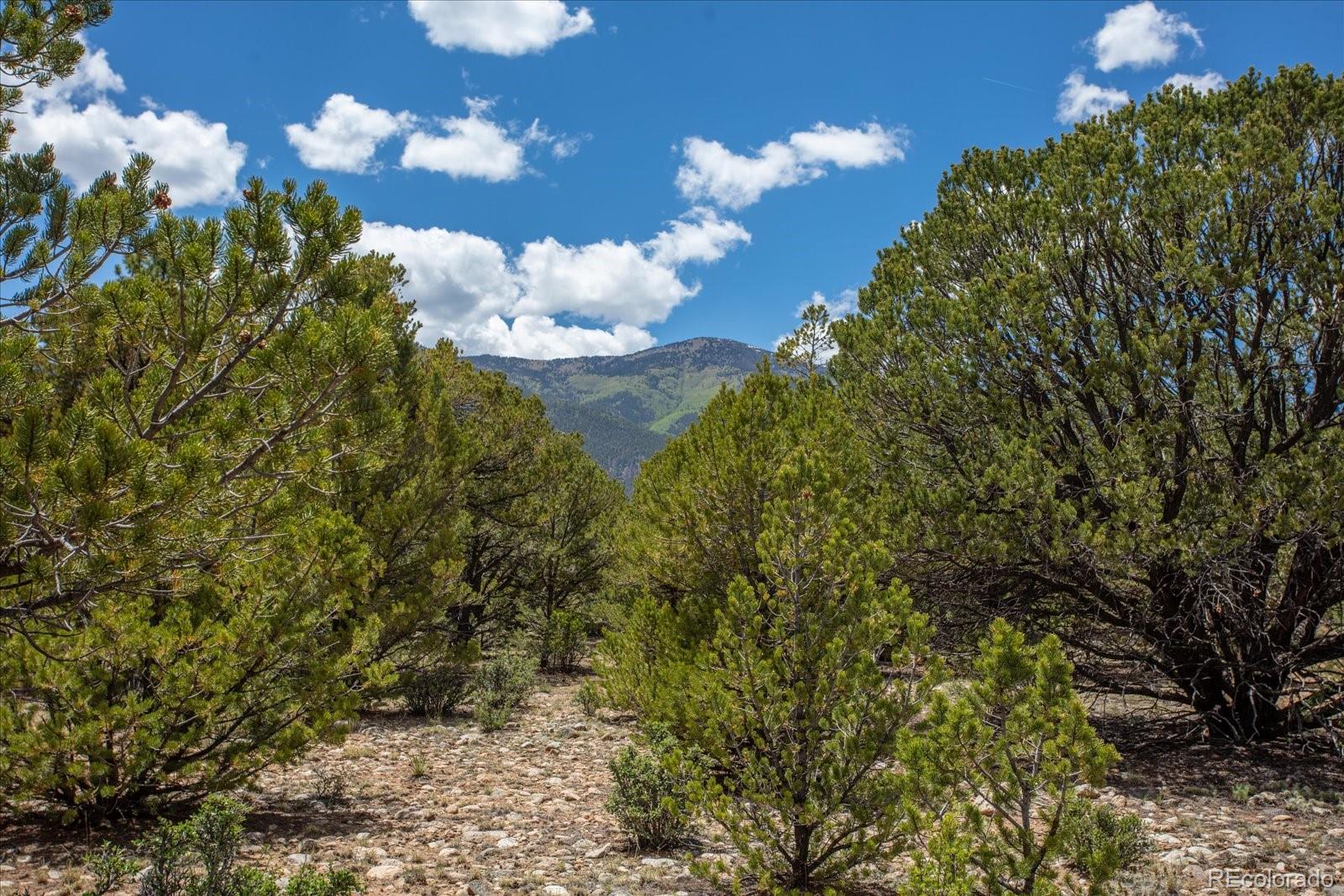 29258 Sage Lane Buena Vista CO 81211