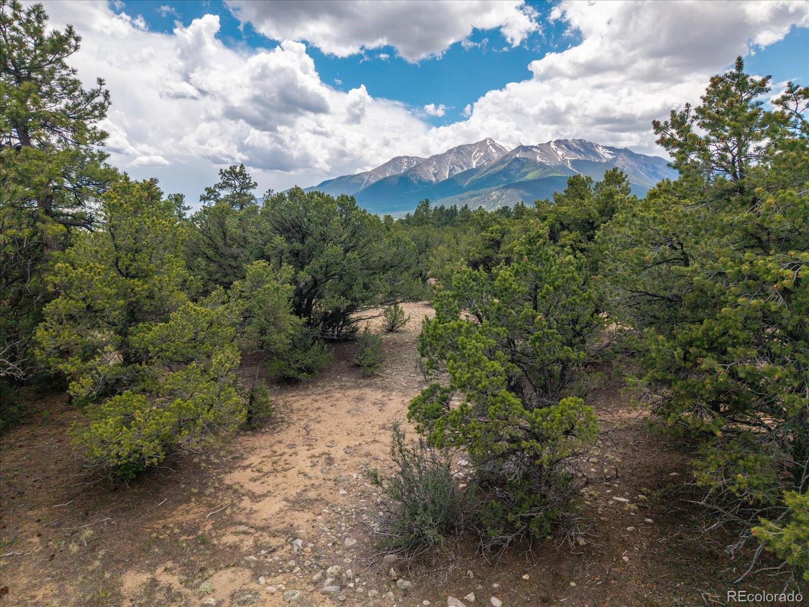 29258 Sage Lane Buena Vista CO 81211