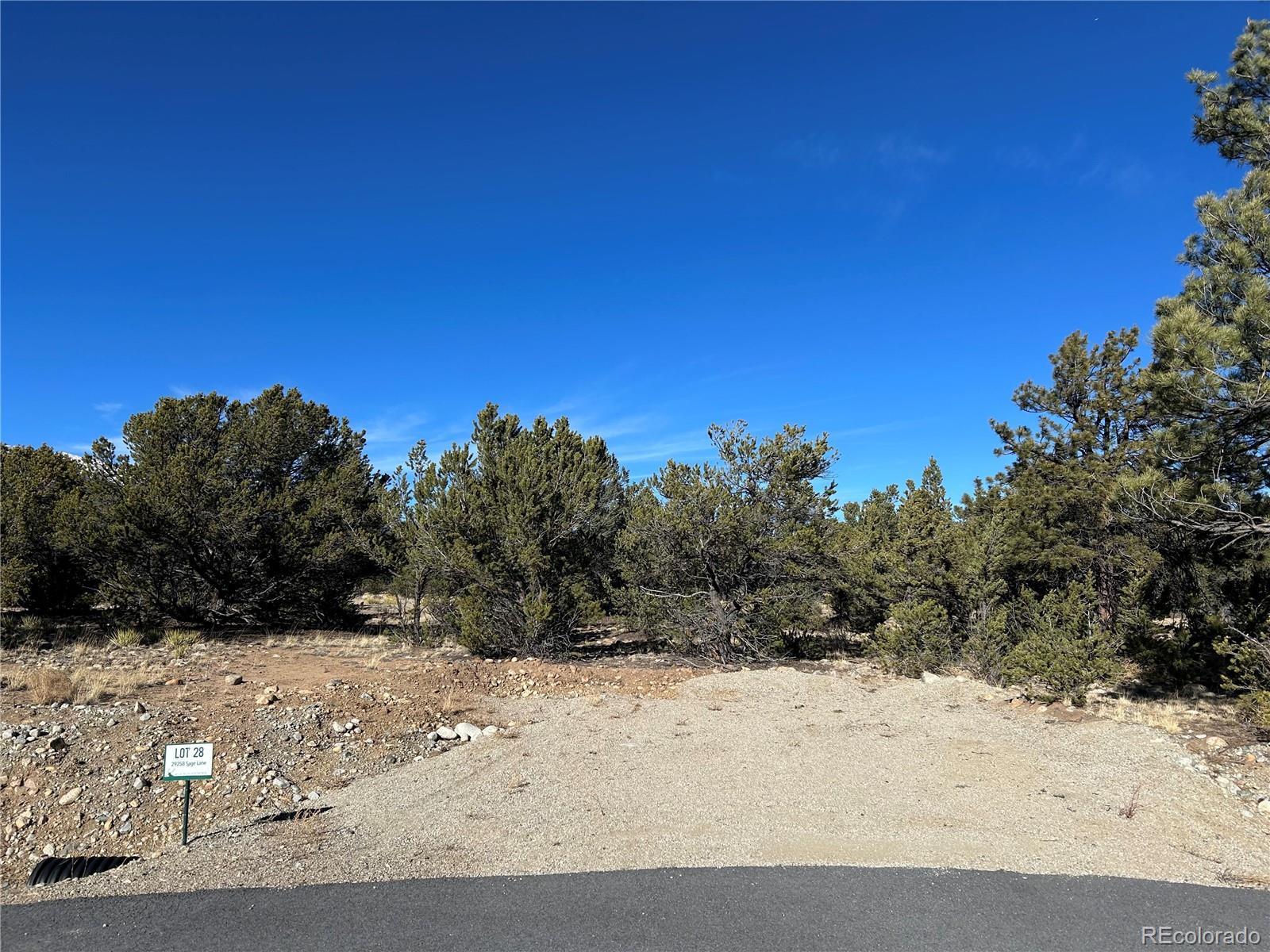 29258 Sage Lane Buena Vista CO 81211