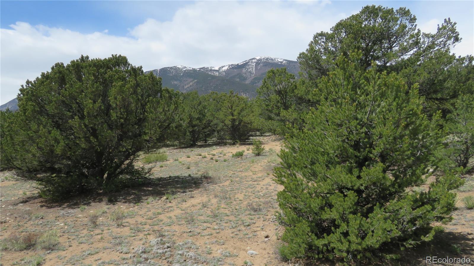 29258 Sage Lane Buena Vista CO 81211