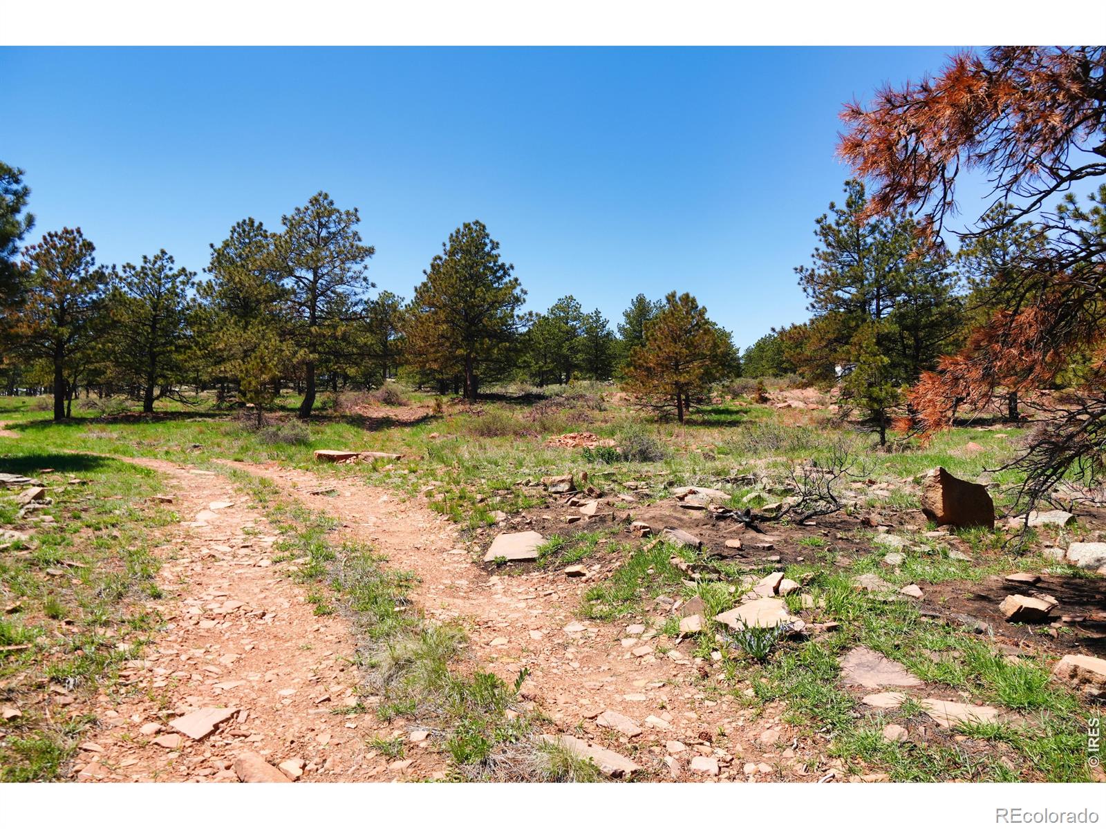 101 Lewis Lane Lyons CO 80540