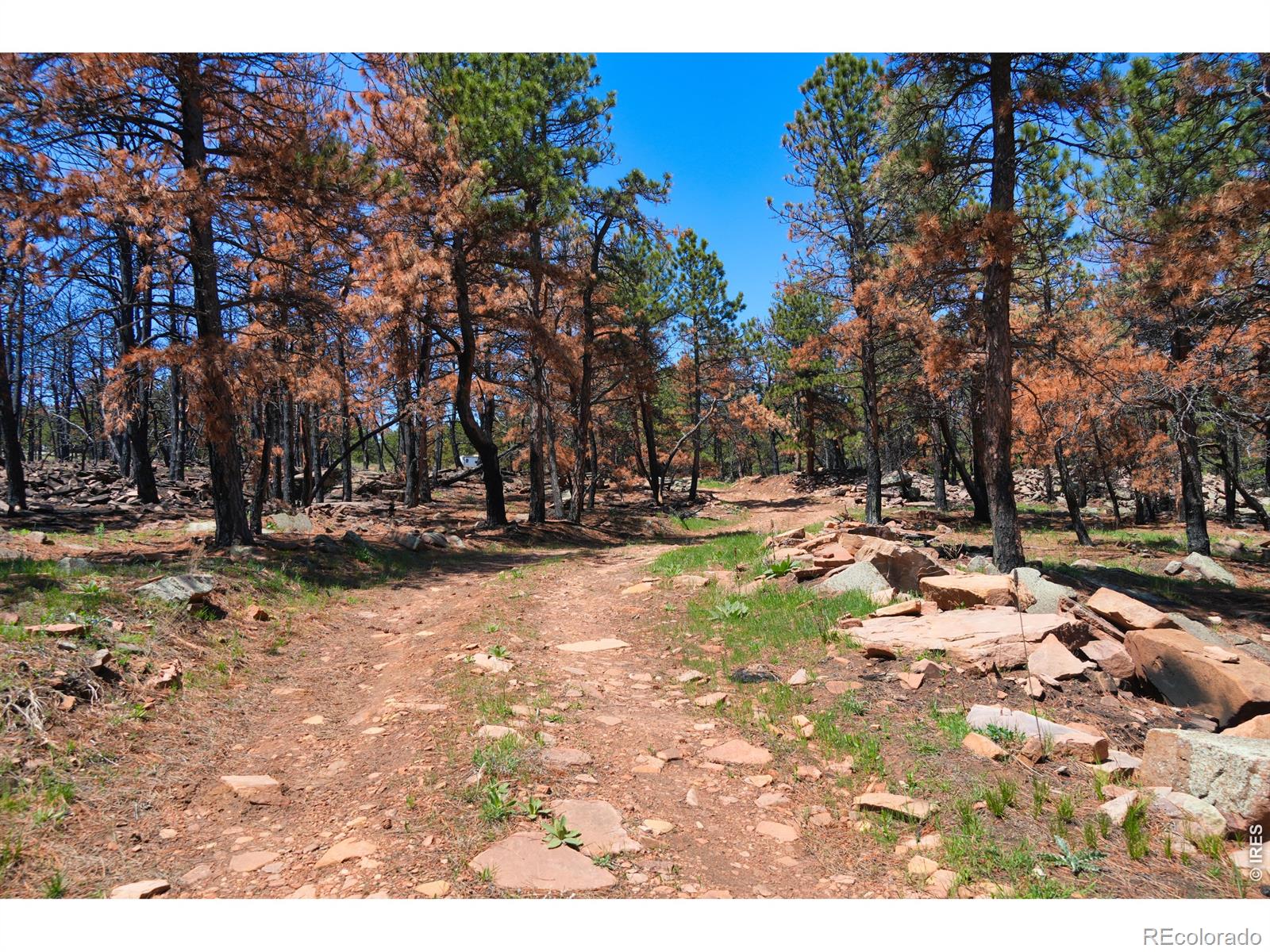 101 Lewis Lane Lyons CO 80540