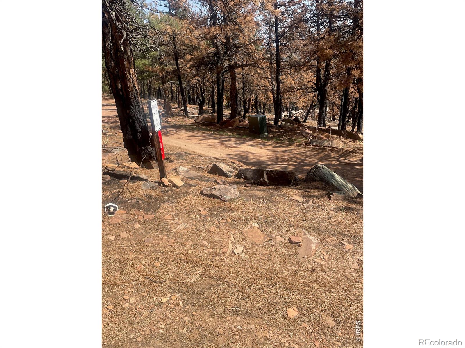 101 Lewis Lane Lyons CO 80540