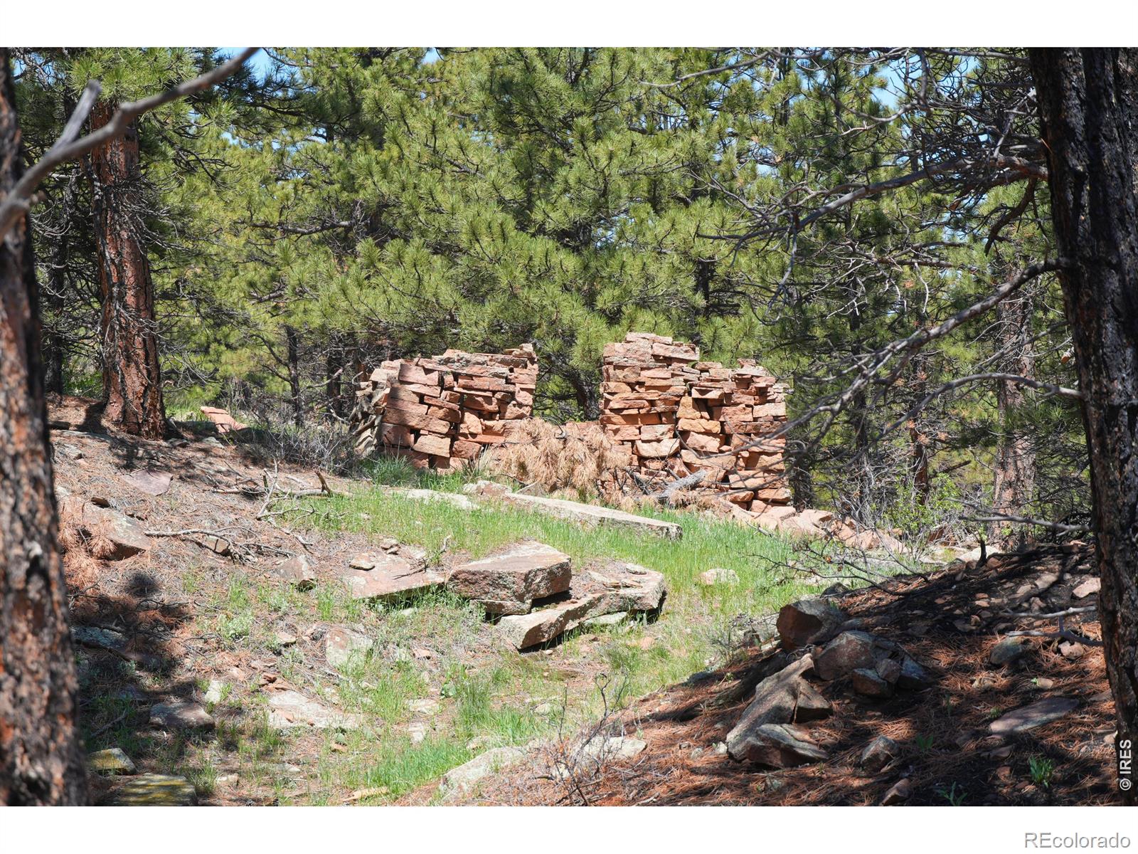 101 Lewis Lane Lyons CO 80540