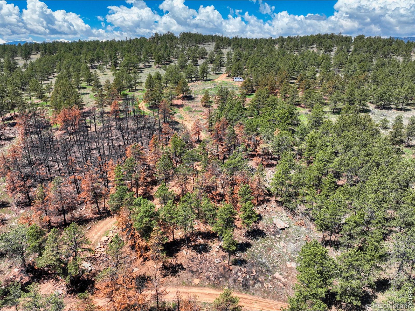 101 Lewis Lane Lyons CO 80540