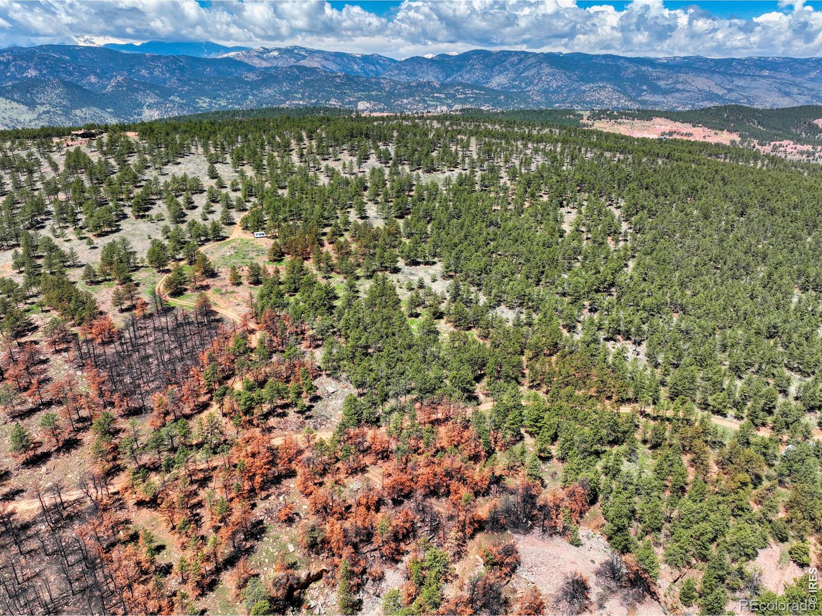 101 Lewis Lane Lyons CO 80540