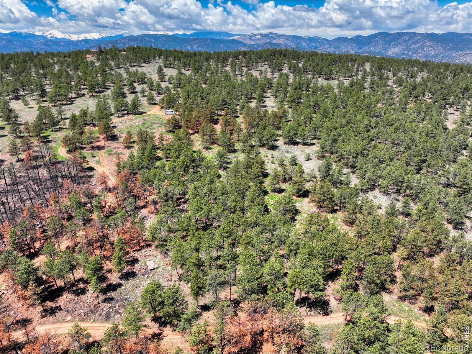 101 Lewis Lane Lyons CO 80540