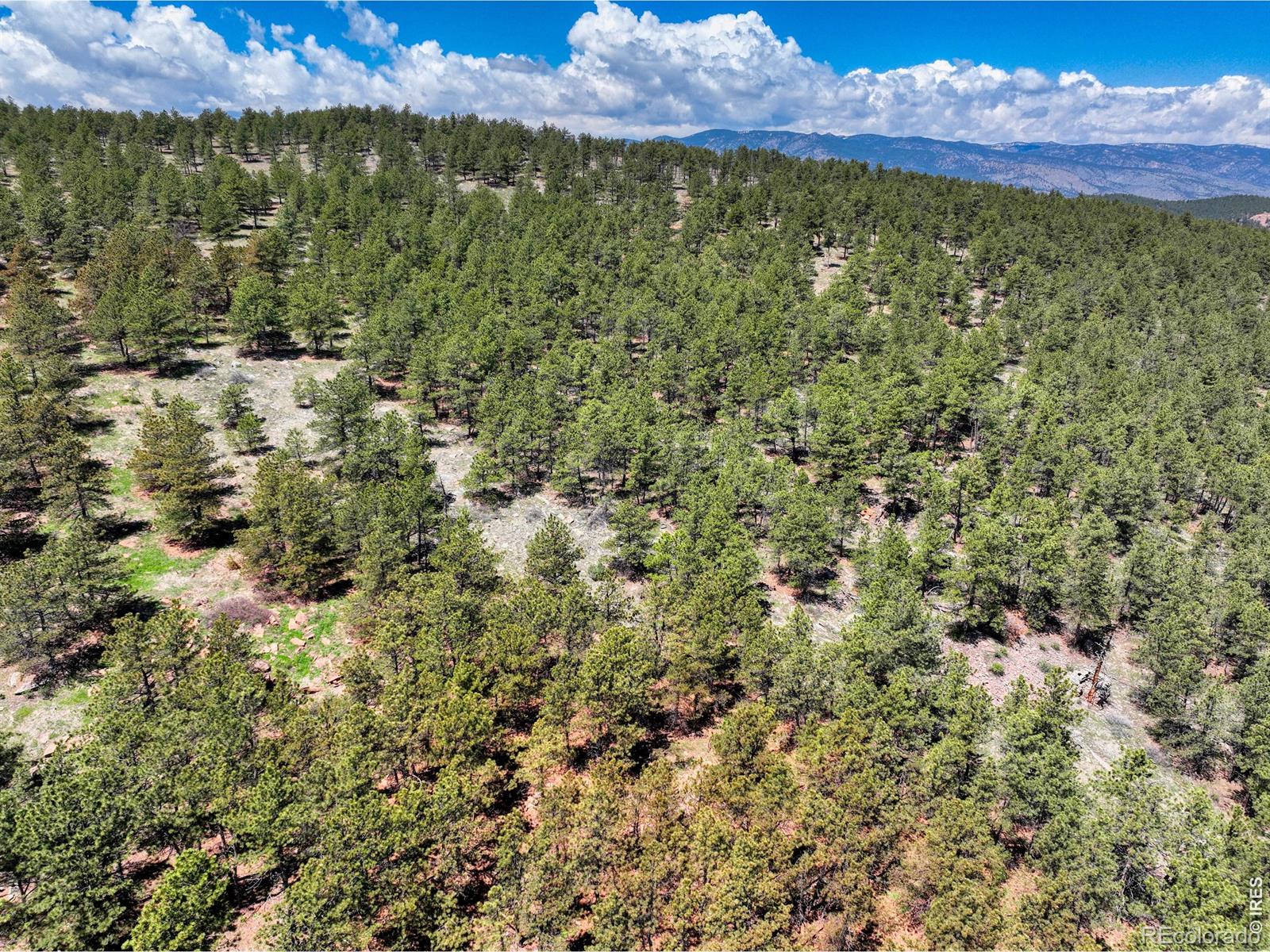 101 Lewis Lane Lyons CO 80540