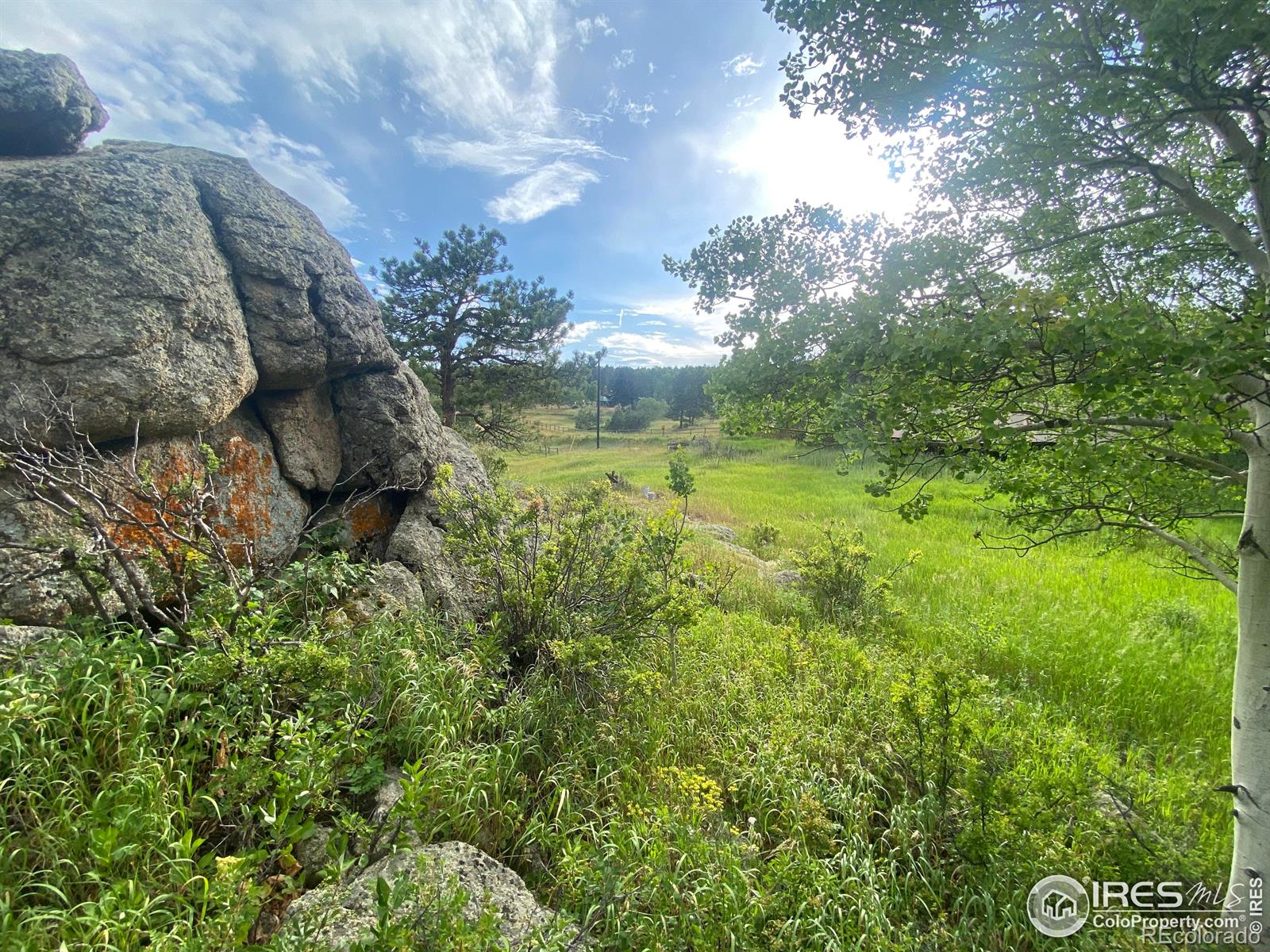 24 Hickok Trail Ward CO 80481