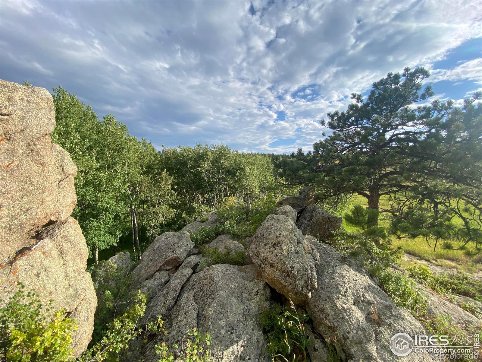 24 Hickok Trail Ward CO 80481