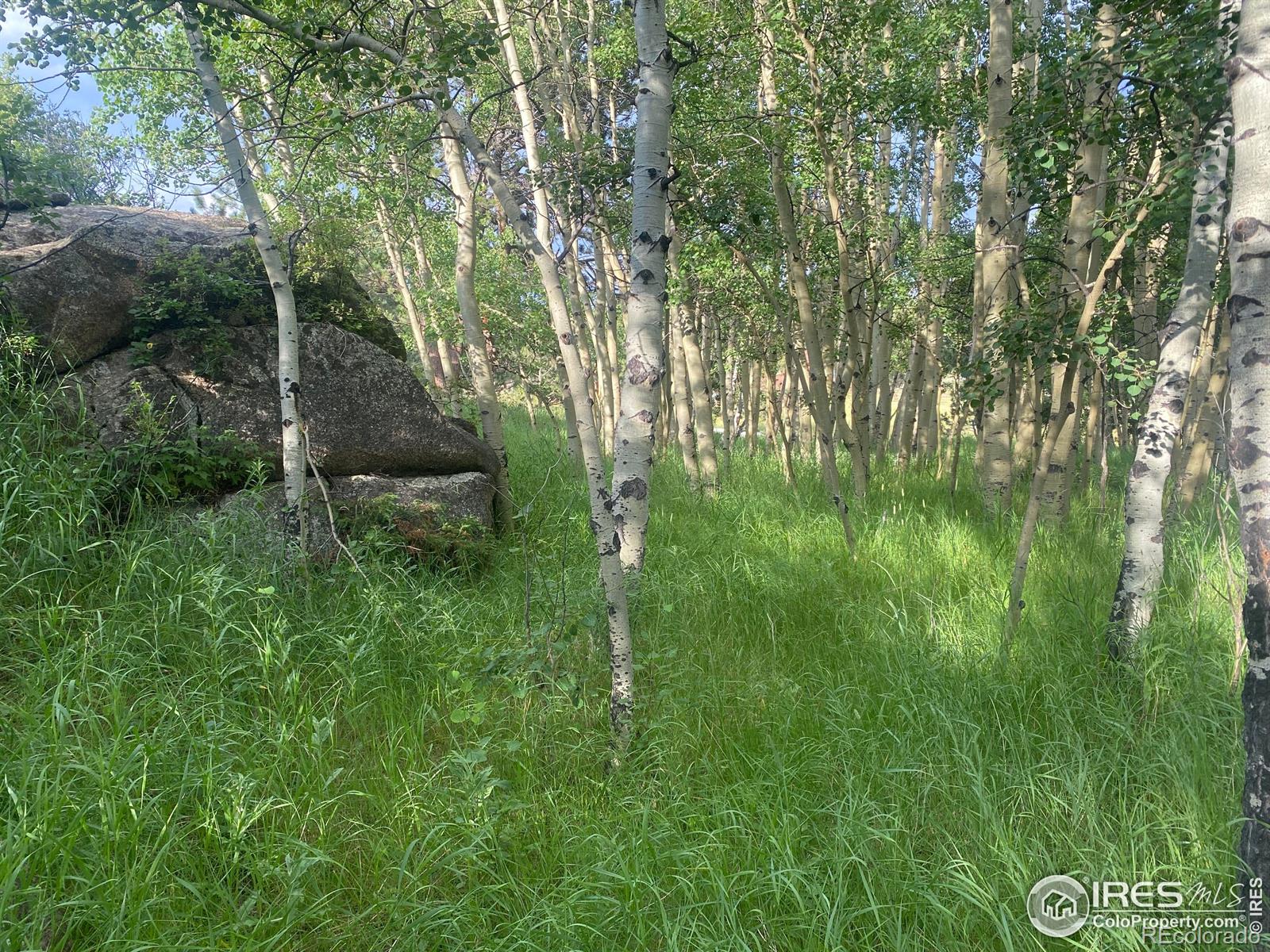24 Hickok Trail Ward CO 80481