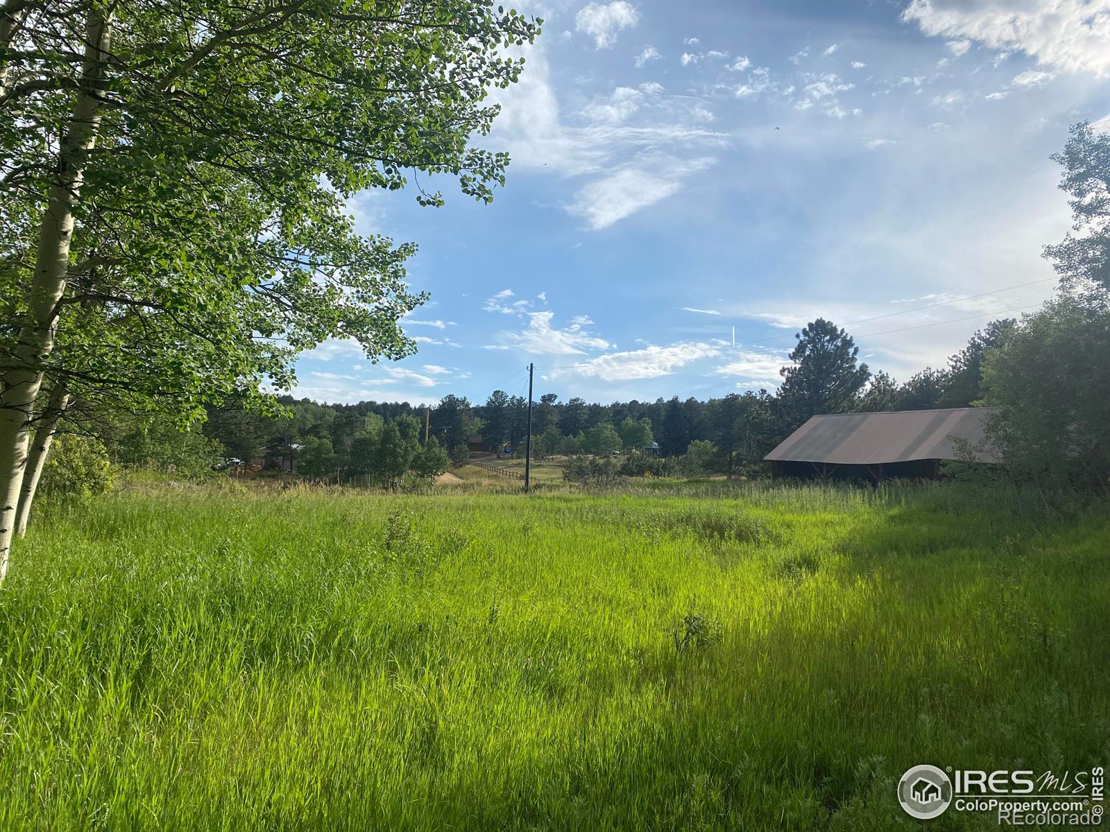 24 Hickok Trail Ward CO 80481