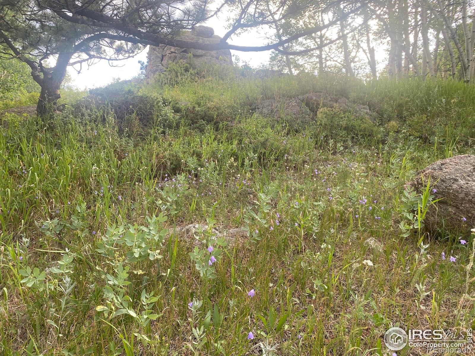 24 Hickok Trail Ward CO 80481