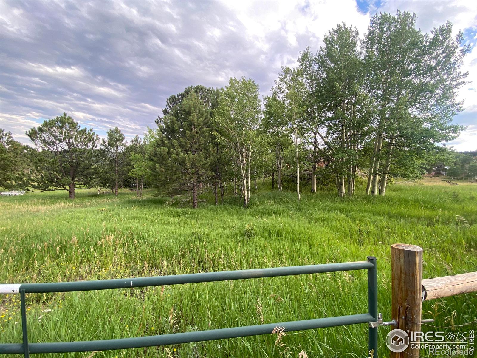 24 Hickok Trail Ward CO 80481