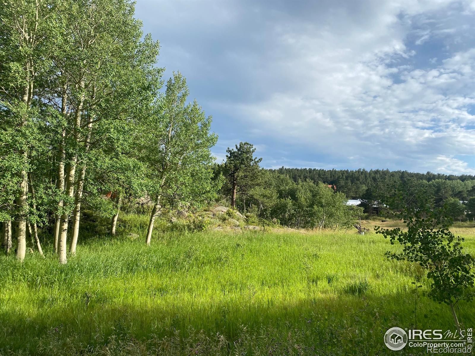 24 Hickok Trail Ward CO 80481