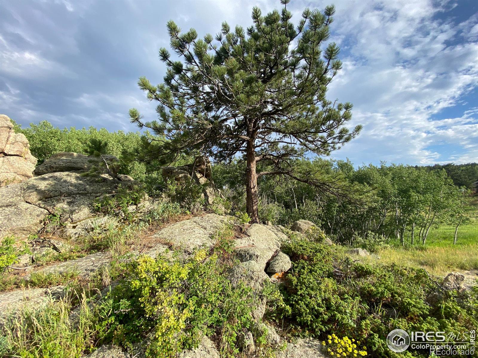 24 Hickok Trail Ward CO 80481