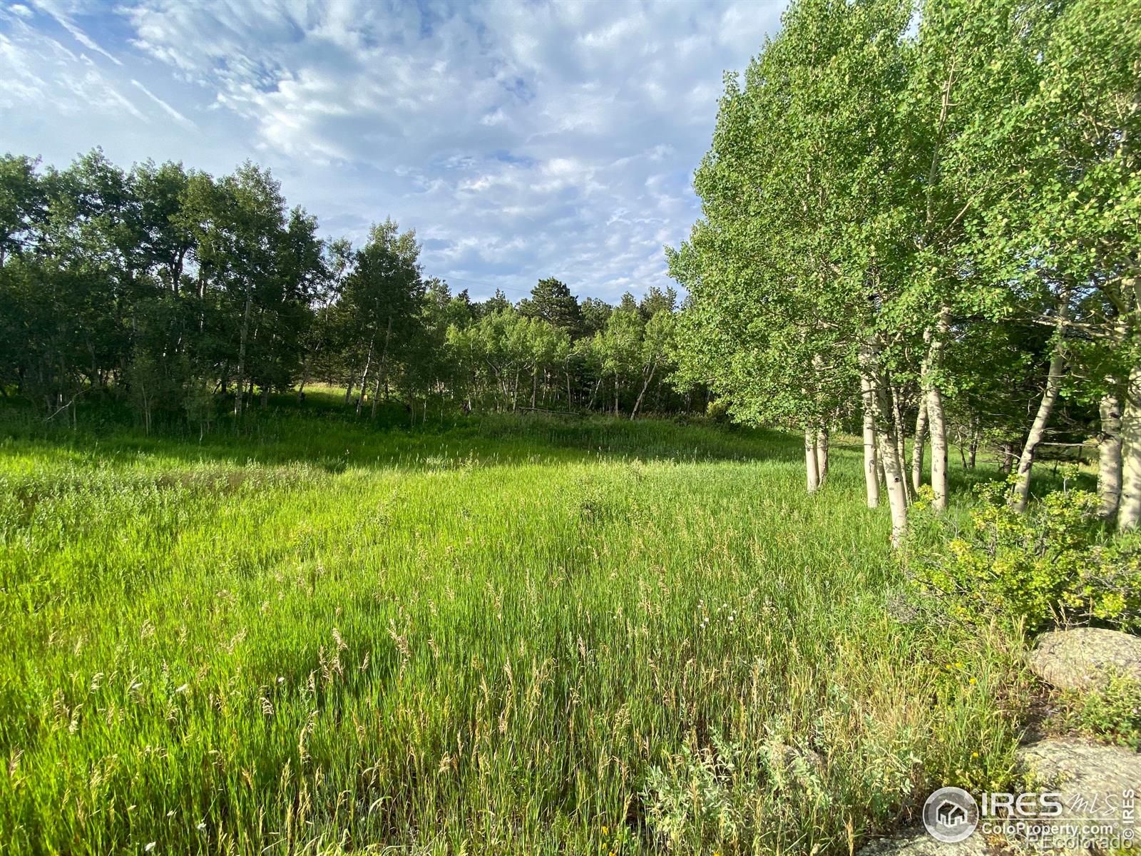 24 Hickok Trail Ward CO 80481