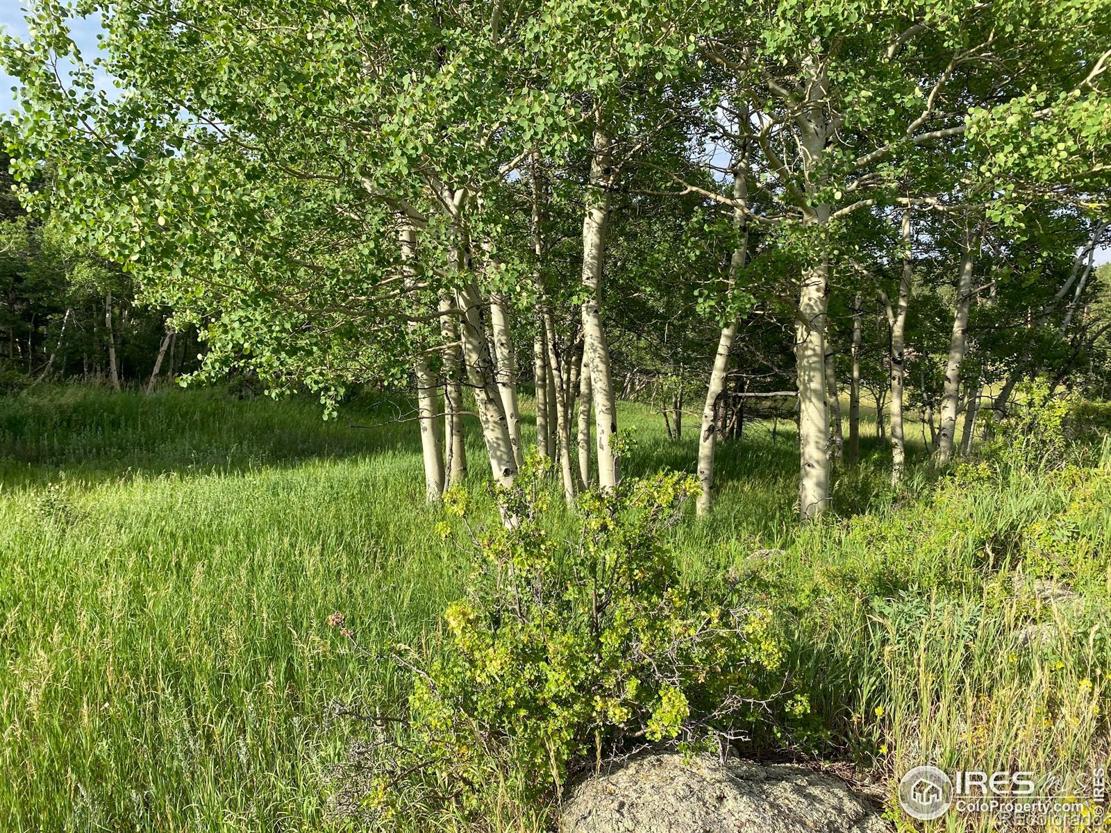 24 Hickok Trail Ward CO 80481