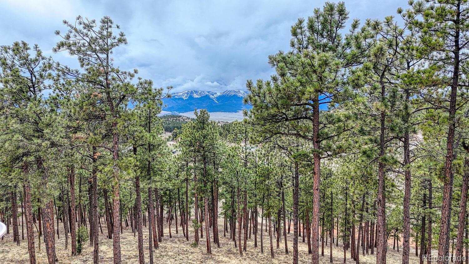 Lot 43 S Ben Eaton Lane Westcliffe CO 81252