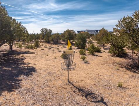 403 N Beldan Street Buena Vista CO 81211