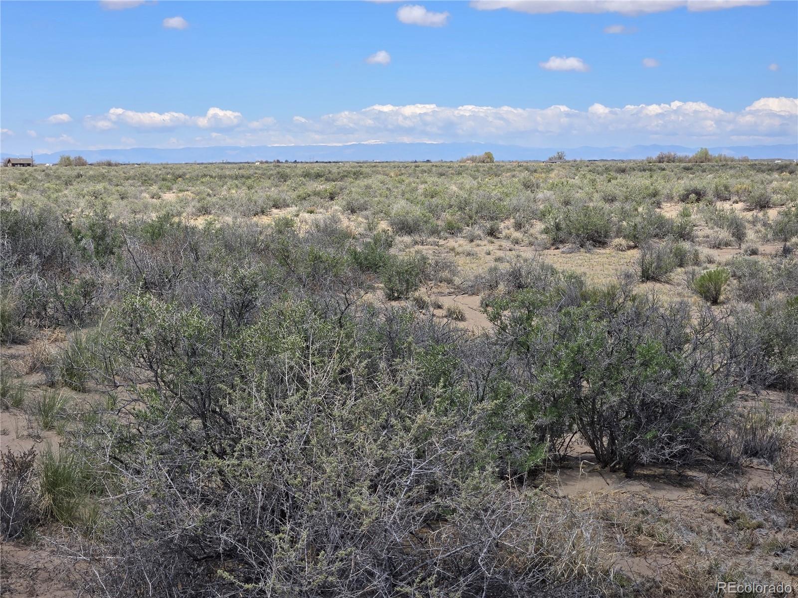 40 Ac County Road 4 S. Alamosa CO 81101