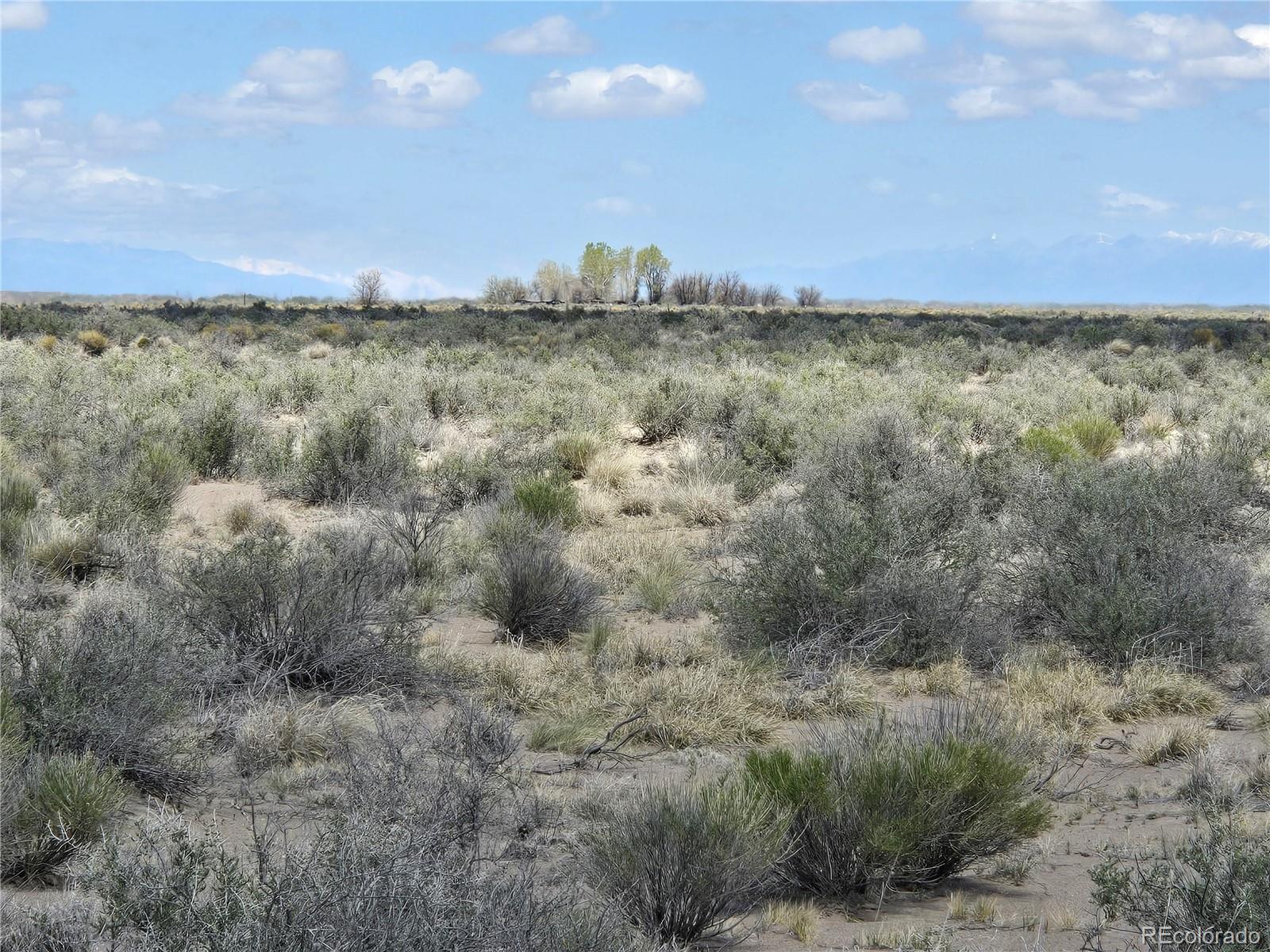 40 Ac County Road 4 S. Alamosa CO 81101