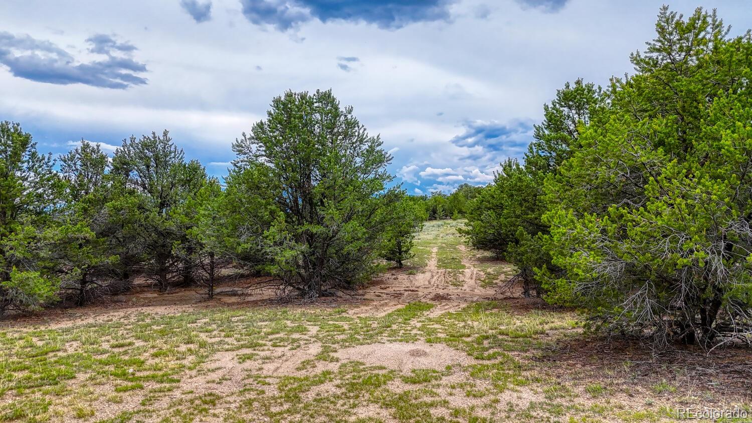 10766 Sawatch Range Road Salida CO 81201