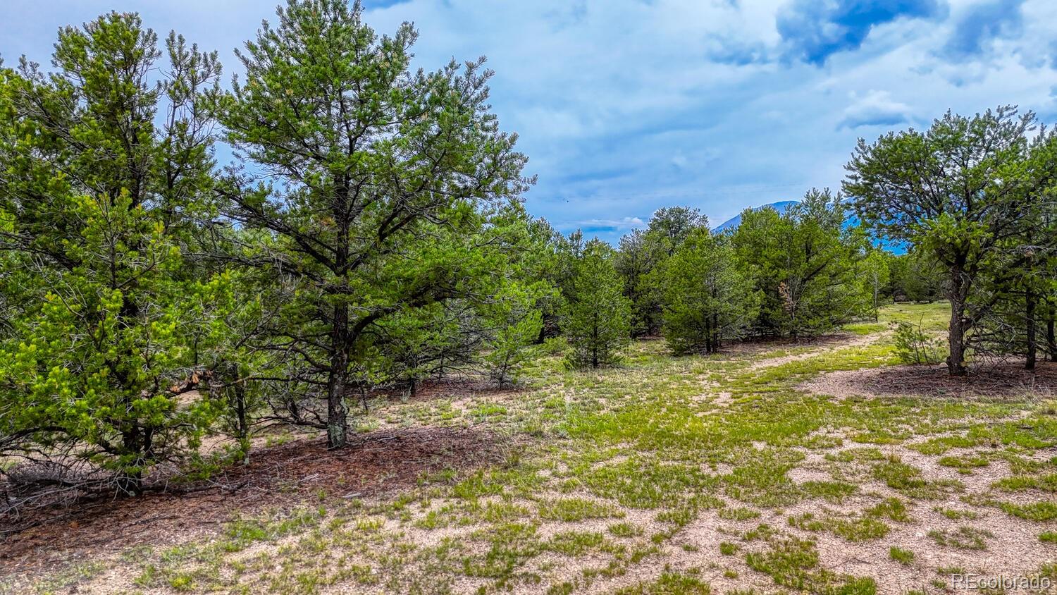 10766 Sawatch Range Road Salida CO 81201