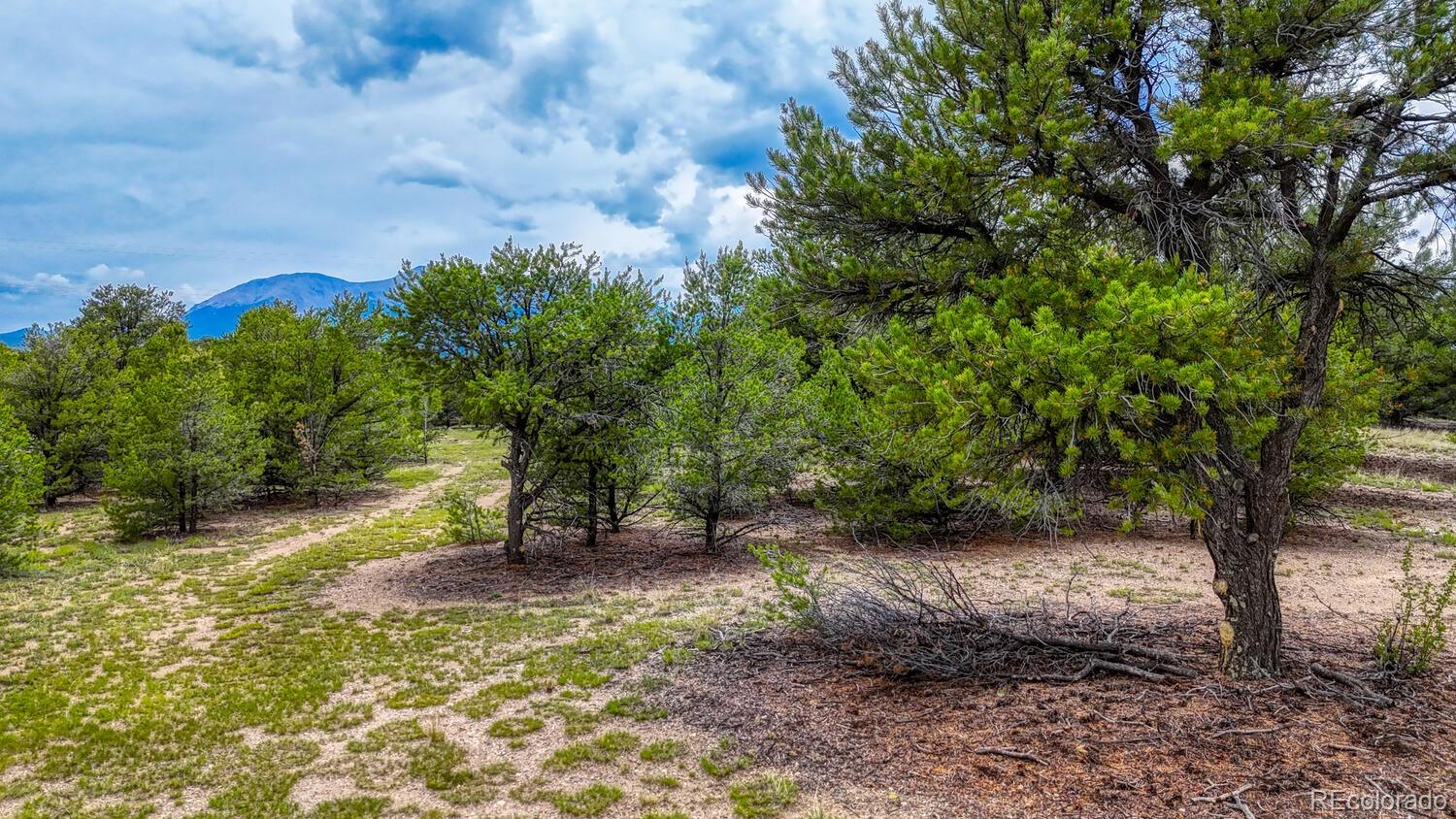 10766 Sawatch Range Road Salida CO 81201