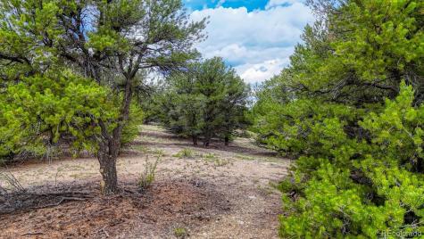 10766 Sawatch Range Road Salida CO 81201