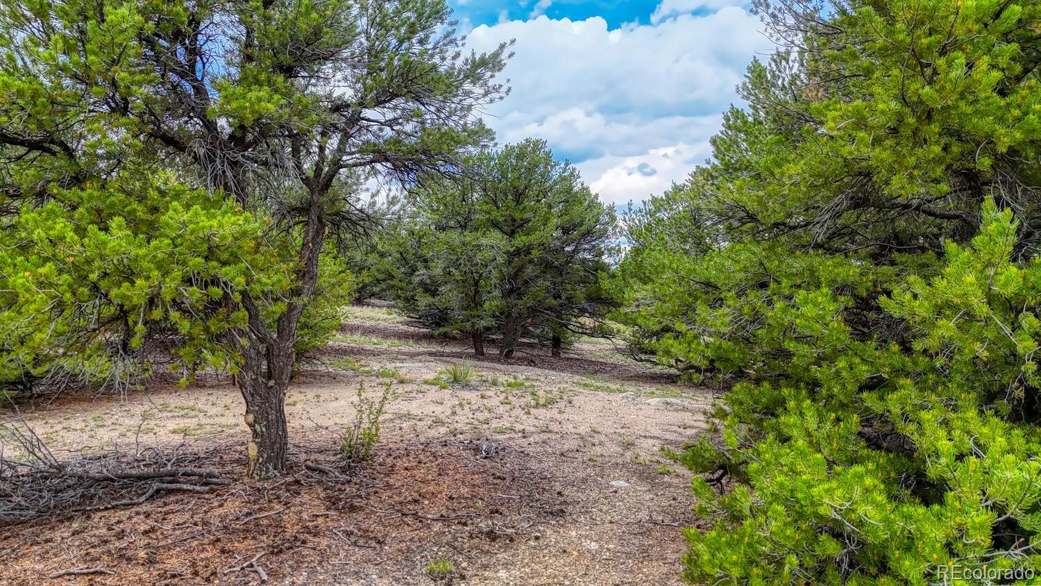 10766 Sawatch Range Road Salida CO 81201