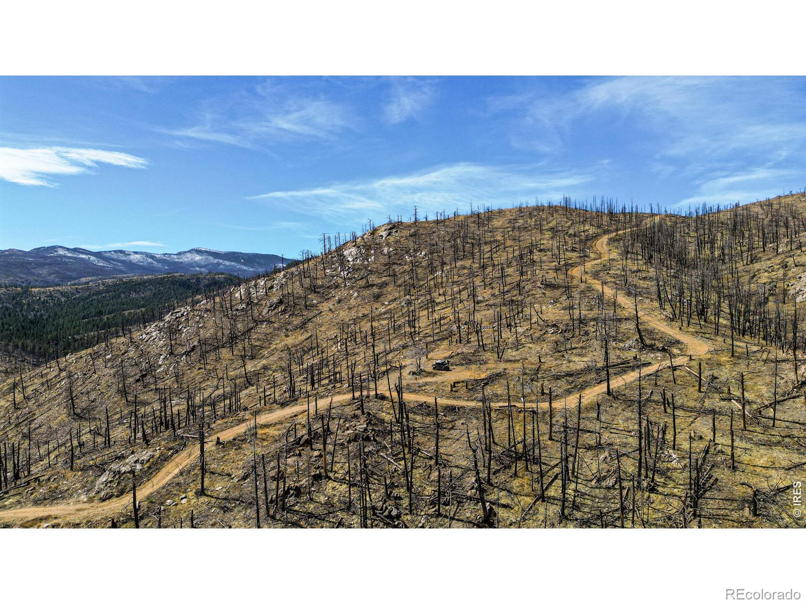 3600 Moondance Way Bellvue CO 80512
